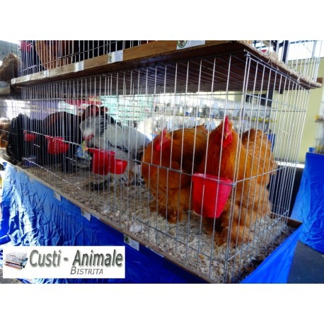 Cusca expunere 3 compartimente, 60x60x200cm, pliabil 260cm [2]