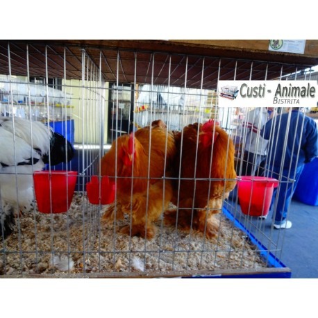 Cusca expunere 3 compartimente, 70x70x200cm, pliabil 270cm [4]