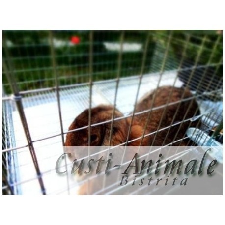 Cusca iepuri tineret pentru rasa uriasa, 200x60x50 cm [2]