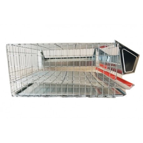 Cușcă prepelițe ouătoare, 40 cm ( 15 bucăți ) [3]