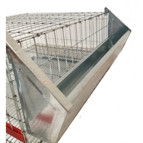 Cușcă prepelițe ouătoare, 40 cm ( 15 bucăți ) [7]