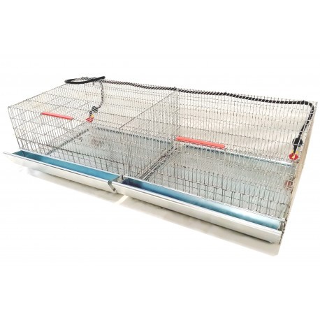 Cusca pui prepelite, 120 cm [2]