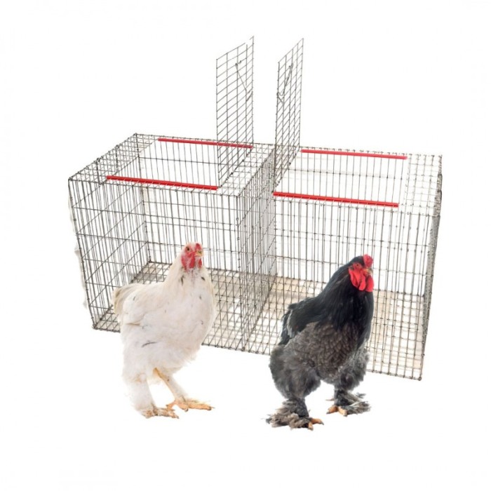 Cușcă transport păsări, 120x50x60cm, 2 locuri [2]