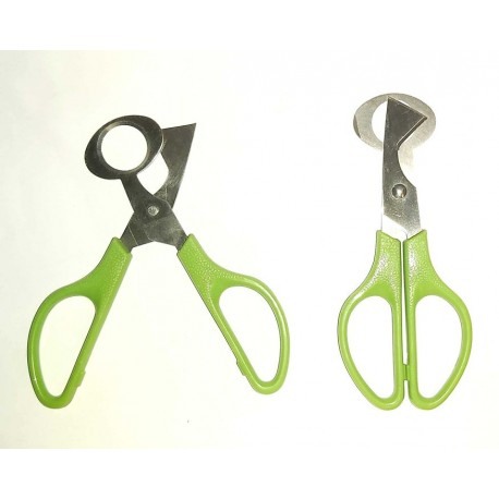 Foarfeca pentru oua de prepelita [3]