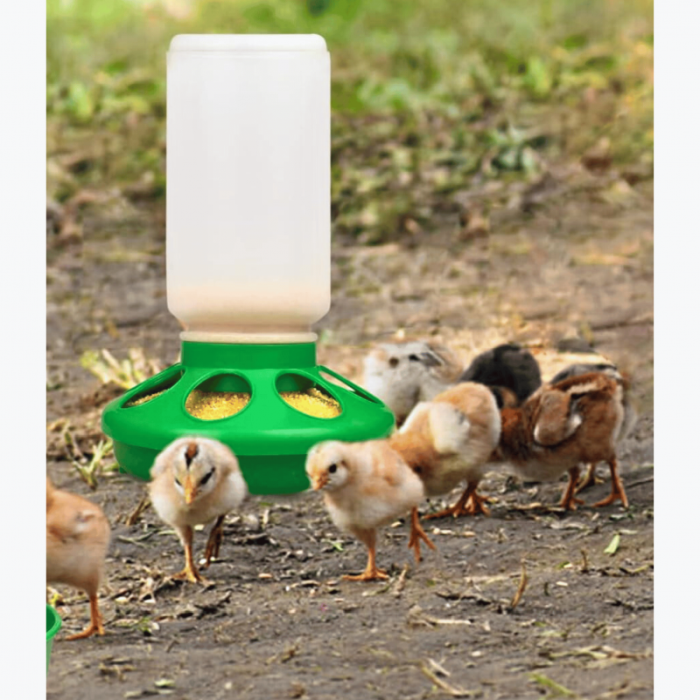 Hranitoare pentru pui cu 8 gauri, 1kg [3]