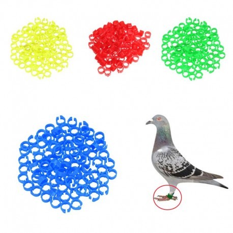 Inele Cleme Porumbei 8x5 mm, 50 bucați/set, (16 culori) [2]