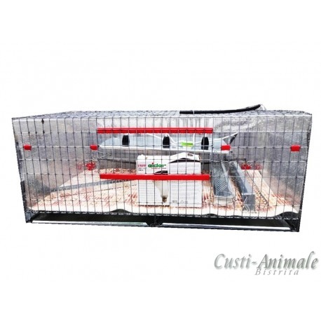 Maternitate pui prepelita [7]