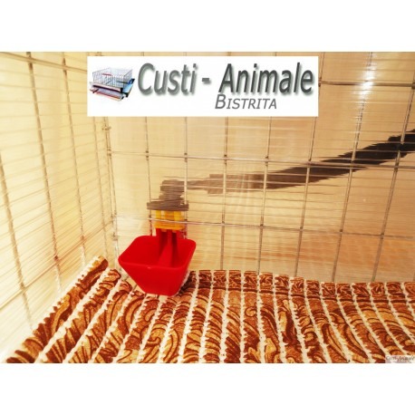 Maternitate pui prepelita [6]