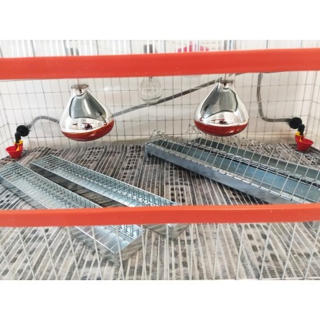 Maternitate pui prepelita [9]