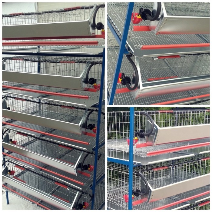 Modul 5 nivele custi prepelite,  90 cm, 250 capete [3]