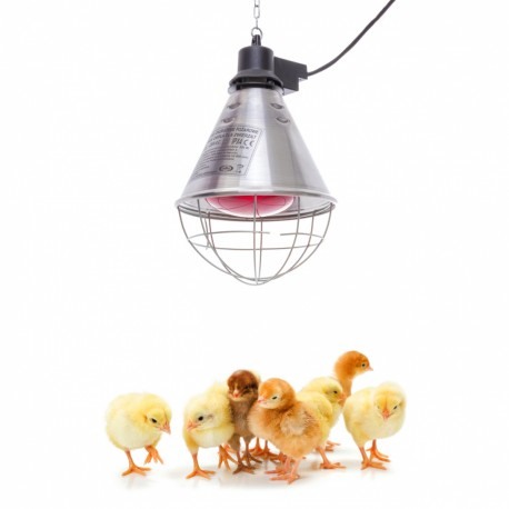 Suport Lampa pentru bec de încălzire cu infraroșu, cu comutator de putere [4]