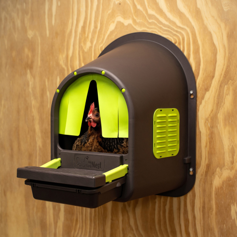 Cuibar de plastic MyCozyNest Roll- verde lime/maro, cu un loc de ouat si colector de oua cu usa rabatabila, LN6 [3]