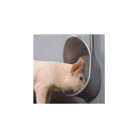 Adapatoare verticala pentru porci, dimensiune medie [1]