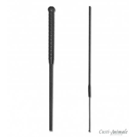 Articole Zootehnie - Bici clasic pentru dresaj