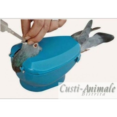 ACCESORII - Boxa suport pentru porumbei tratament