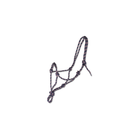 Capastru cai funie [3]