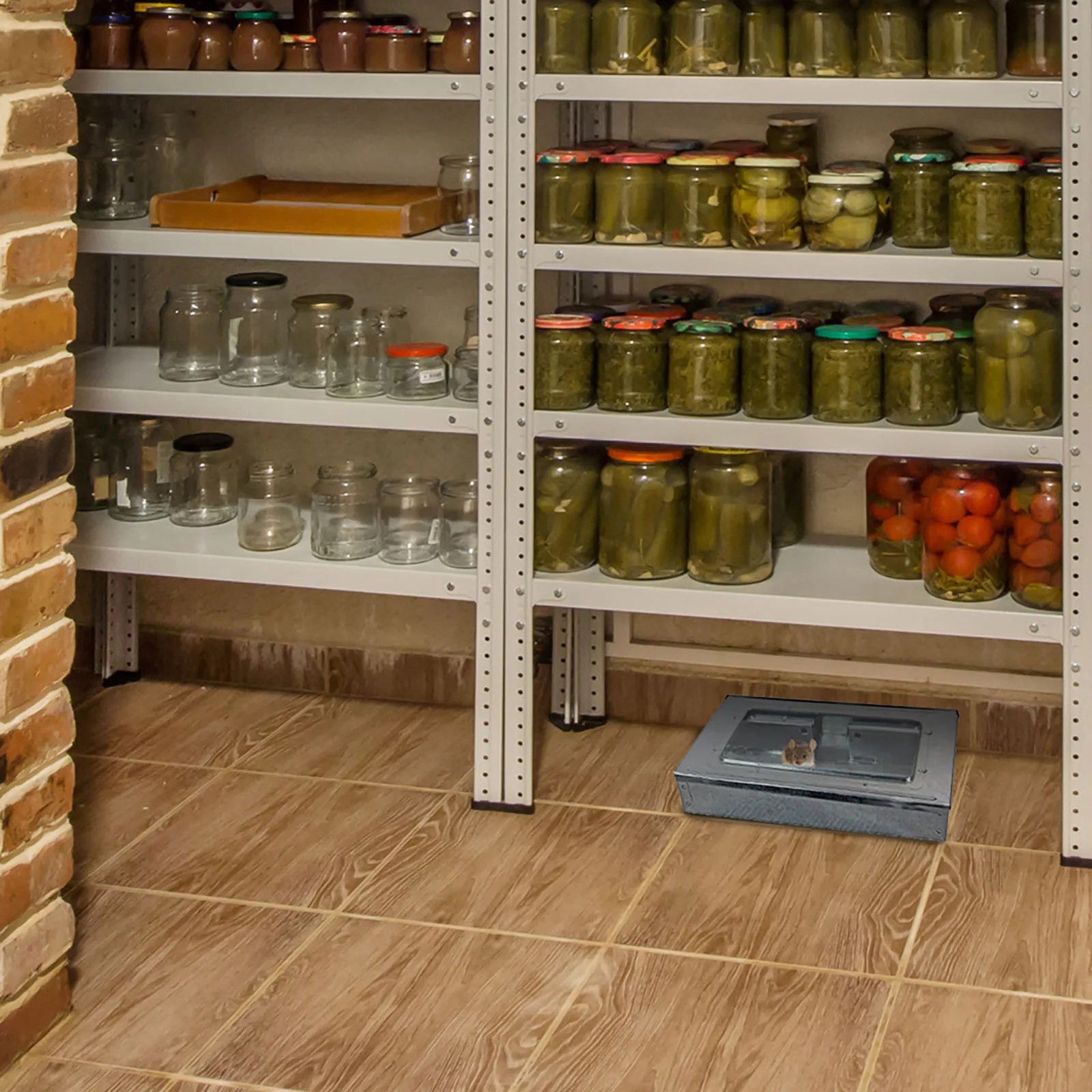 Capcana pentru soareci din tabla zincata cu 1 geam plastic, cu sistem multi capturare [5]