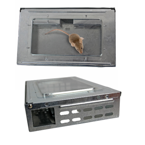 Capcana pentru soareci din tabla zincata cu 1 geam plastic, cu sistem multi capturare [2]