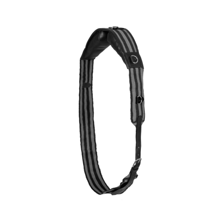 Articole Zootehnie - Chinga pentru lonjare