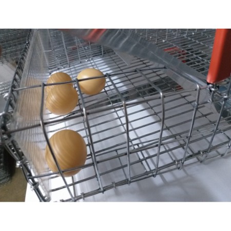 Cuib de ouat cu doua locuri [4]