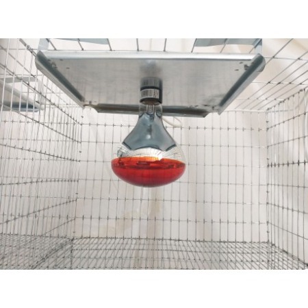 Cusca crestere pui cu incalzire, 100x65x45 cm [4]