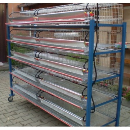 Cusca de prepelite oatoare,  200 cm ( 100~120 buc) [8]