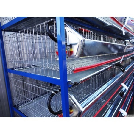 Cusca de prepelite oatoare,  200 cm ( 100~120 buc) [11]