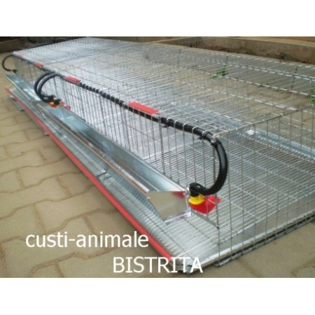 Cusca de prepelite oatoare,  200 cm ( 100~120 buc) [5]