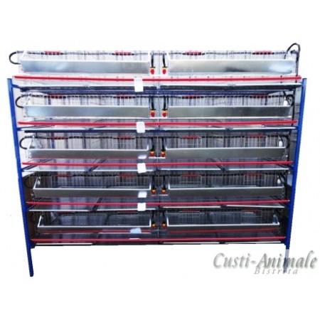 Cusca de prepelite oatoare,  200 cm ( 100~120 buc) [9]