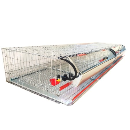 Cusca de prepelite oatoare,  200 cm ( 100~120 buc) [4]