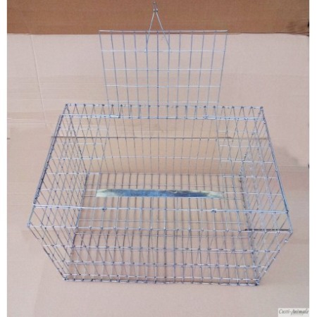 Cusca de transport animale pasari, 40x40x25 cm [4]