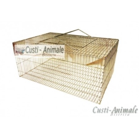 Custi transport pasari - Cusca de transport pui o zi, 100x40x25 cm