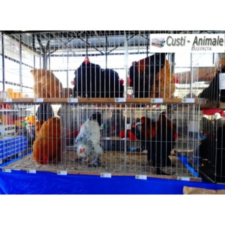 Cusca expunere 3 compartimente, 70x70x200cm, pliabil 270cm [2]