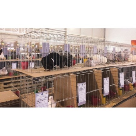 Cusca expunere 50x50x200, pliabila 250cm, 4 compartimente [2]