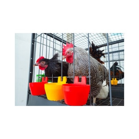 CUSTI DE EXPOZITIE - Cusca expunere porumbei 80x80x160cm, pliabila 160 cm