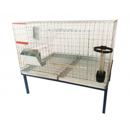 IEPURI - Cusca iepuri tineret, 100x60x50 cm , rasa uriasa