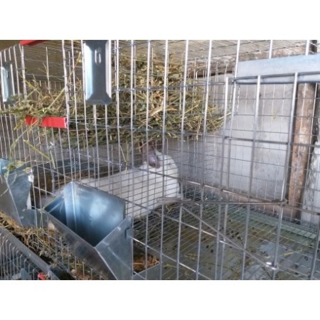 Cusca iepuri tineret, 160x60x45 cm cu doua compartimente [5]