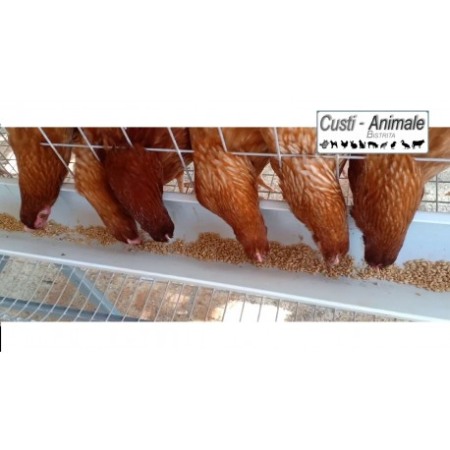 Cusca pentru 20 gaini ouatoare 200x75x80 cm [4]