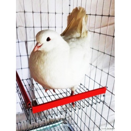 Cusca porumbei imperechiere/90/65/75 cm [7]