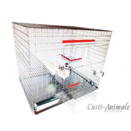 PASARI - Cusca porumbei imperechiere/90/65/75 cm