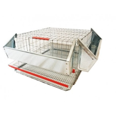 Cușcă prepelițe ouătoare, 40 cm ( 15 bucăți ) [4]