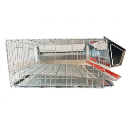 Cușcă prepelițe ouătoare, 40 cm ( 15 bucăți ) [2]