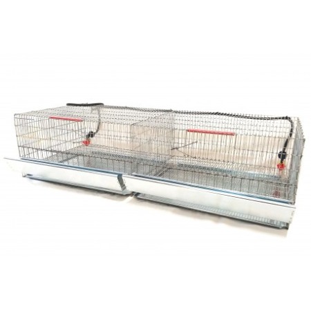 PREPELITE - Cusca pui prepelite, 130 cm