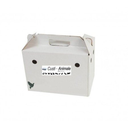 ACCESORII - Cutie carton transport porumbei