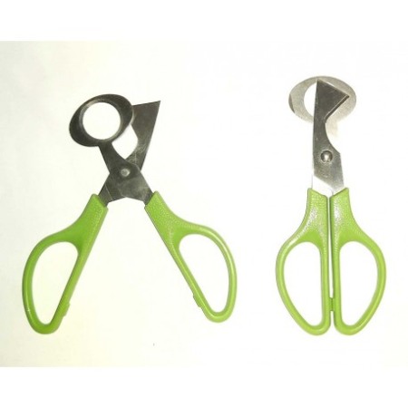 Foarfeca pentru oua de prepelita [2]