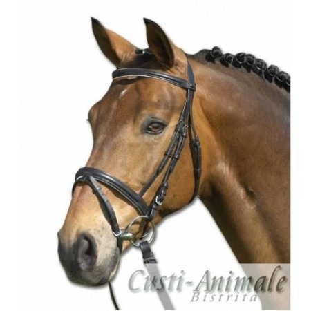 Articole Cai - Echitatie- Sa calarie - Frau cu darlogi lifestyle cai