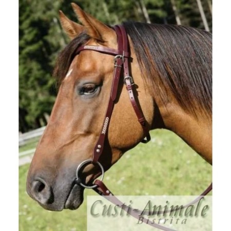 Articole Cai - Echitatie- Sa calarie - Frau Western pentru cai