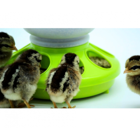 Hranitoare pentru pui cu 8 gauri, 1kg [3]