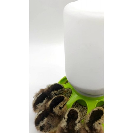 Hranitoare pentru pui cu 8 gauri, 1kg [4]