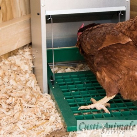 Hranitor automat furajare gaini 12 Kg [4]